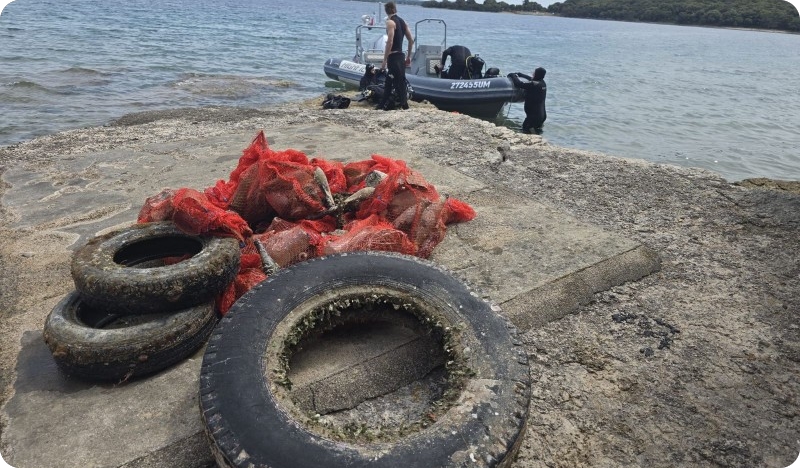 Ronioci čistili podmorje Brijuna. Iz mora izvukli gume, plastiku, boce i staklo-160531