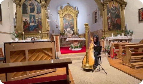 Koncert harfista Adriana Ignjatovića otvorio ovogodišnji ciklus „Fažanski sutoni“-161978