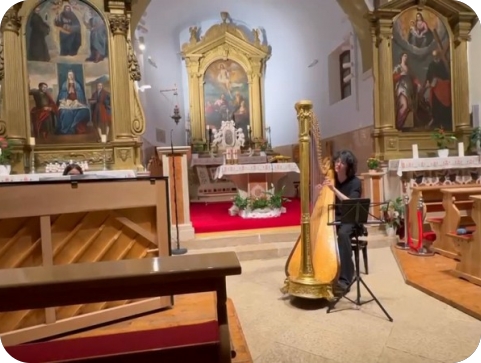 Koncert harfista Adriana Ignjatovića otvorio ovogodišnji ciklus „Fažanski sutoni“-161978