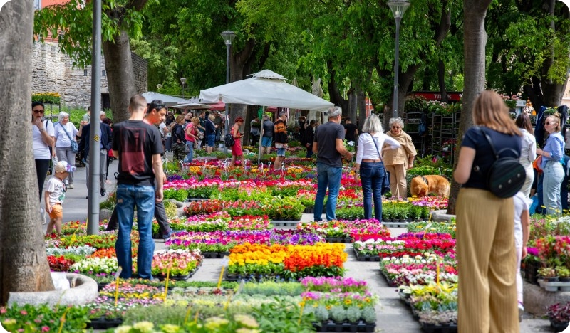 Pulski Giardini se pretvaraju u cvjetnu oazu, stiže sajam cvijeća “Florija”-160202