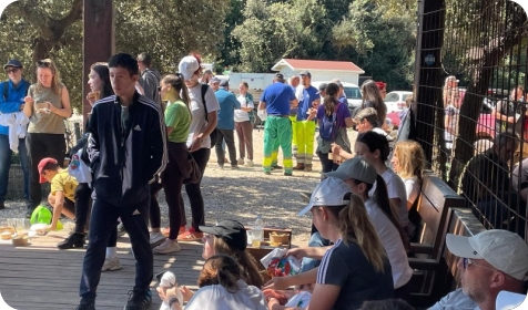 Više od 200 volontera čistilo obalu u Šišanu! Prikupljeno čak 19 kubika otpada-159951