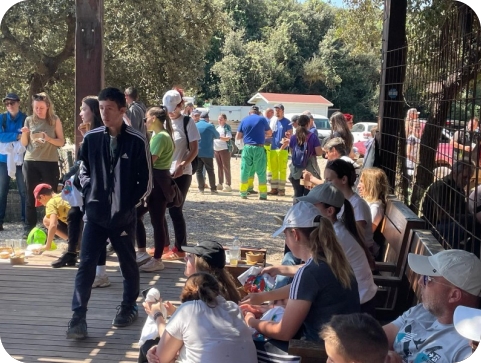 Više od 200 volontera čistilo obalu u Šišanu! Prikupljeno čak 19 kubika otpada-159951