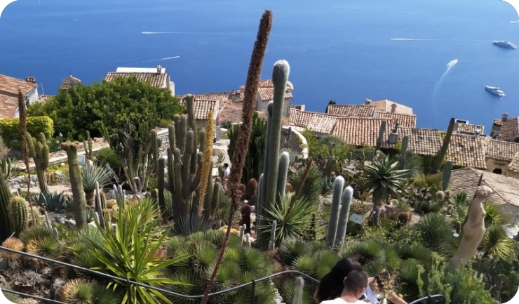 Vrt iznad oblaka: Zašto je Jardin Exotique d’Èze jedno od najposebnijih mjesta na Azurnoj obali-160236