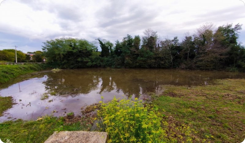 Lokve - skriveni dragulji Općine Marčana-140574