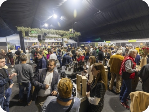 Drugi dan 19. Dana mladog maslinovog ulja ispunjava sva očekivanja-156534