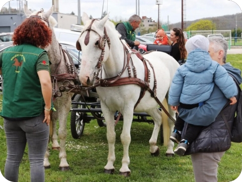 AgroTerra Istra i ove godine donosi bogat trodnevni program za sve uzraste-159342