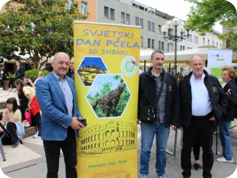 Pula obilježila Svjetski dan pčela – edukacija, kreativnost i poruka o važnosti oprašivača-152619