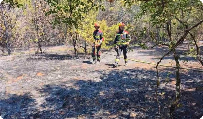 Vatrogasci gasili požare na tri lokacije u Istri-162559
