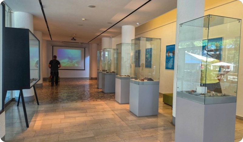 Arheološki muzej Istre otvara izložbu „Priče o ženama” povodom Dana žena-158850