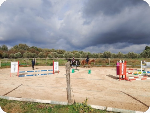 Trening s Denisom Gugićem okupio istarske klubove pod organizacijom Konjičkog saveza Istarske županije-156596