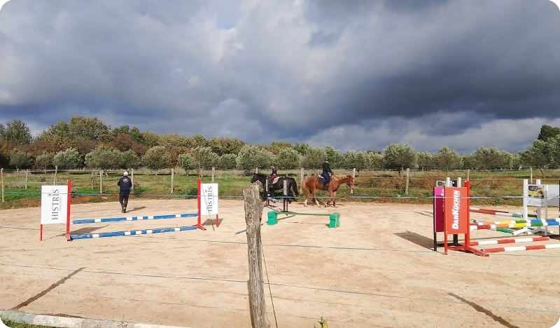 Trening s Denisom Gugićem okupio istarske klubove pod organizacijom Konjičkog saveza Istarske županije-156596