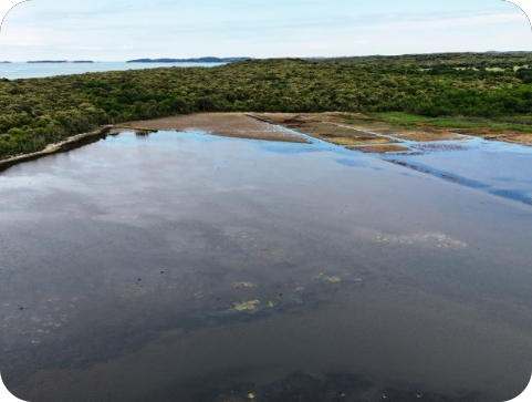 Otkrijte bogatstvo biljnog i životinjskog svijeta rezervata Palud uz stručne vodiče-156371