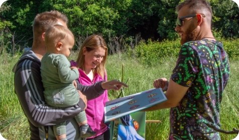 Proljeće na Valsalinama u znaku Medaka i njegovog skrivenog svijeta kornjaša-160201