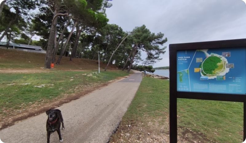 Šetnja uz miris bora i mora na medulinskom poluotoku Kašteja-139919