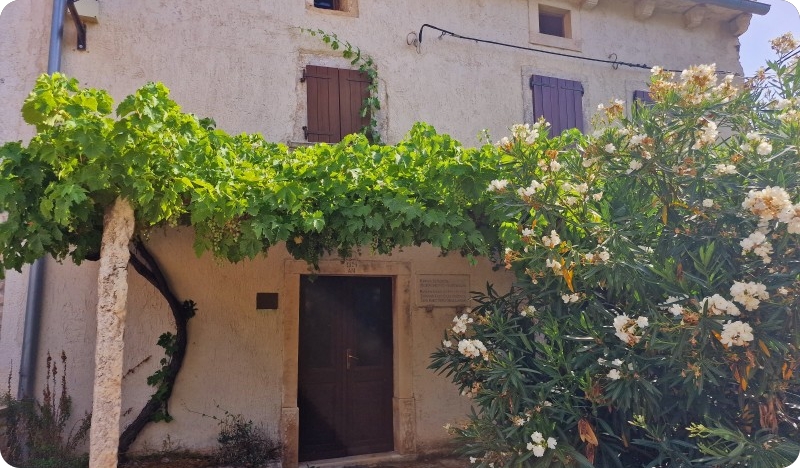 Besplatni posjet rodnoj kući Mate Balote u Raklju-139769