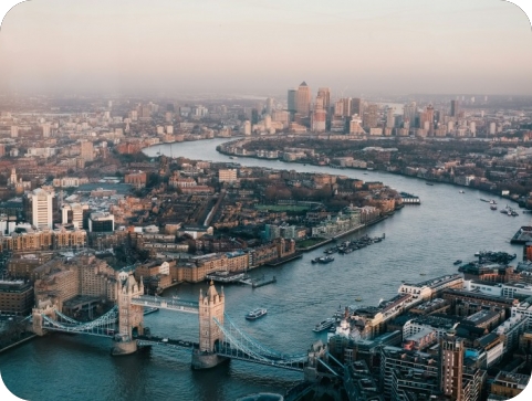 Istarski bijeli tartuf na aukciji u Sotheby’su i na meniju kultnog Mark’s Cluba-155849