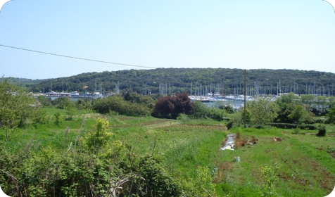 Možemo! Pula: Lučica Delfin ne smije postati apartmansko naselje-157862