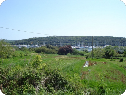 Možemo! Pula: Lučica Delfin ne smije postati apartmansko naselje-157862