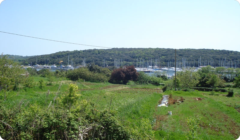 Možemo! Pula: Lučica Delfin ne smije postati apartmansko naselje-157862