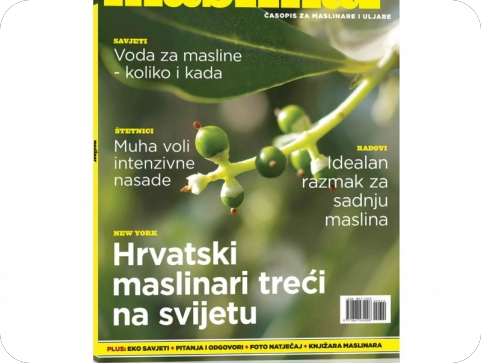 Novi ljetni broj najboljeg maslinarskog časopisa Maslinar potražite na svim kioscima-127623