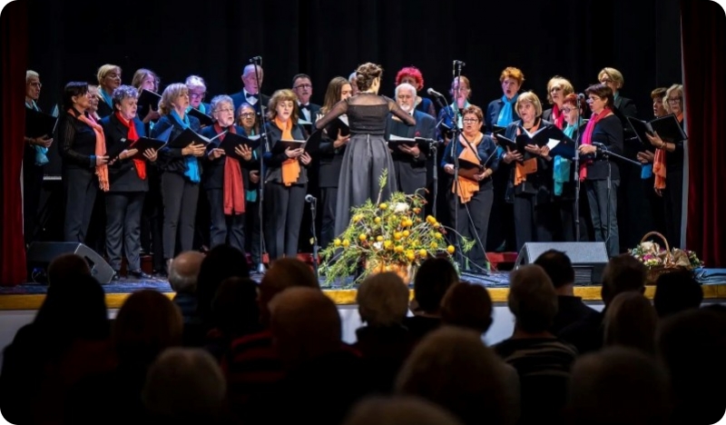 MPZ KUD-a „Matko Brajša Rašan“ svečano ispraća Staru godinu uz bogat program-149177