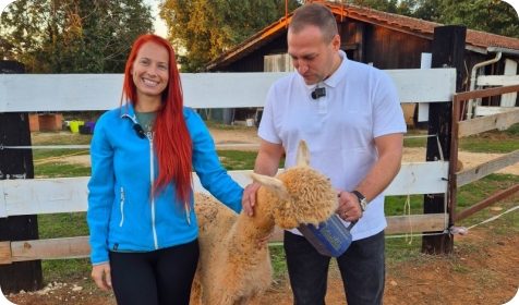 Ministar David Vlajčić posjetio OPG Bijelić Nikolina i Alpaka Ranch Kavadah u Valturskom Polju-164338