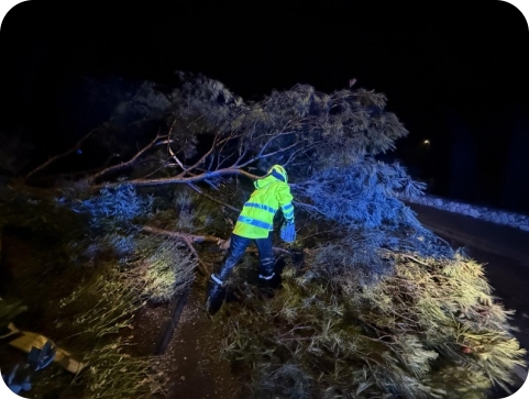 Rovinjski vatrogasci uklanjali stablo i vozila nakon sinoćnjeg nevremena-153740