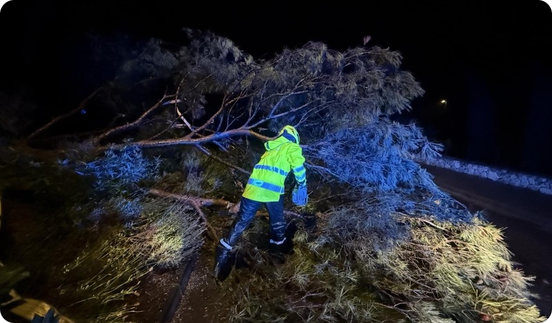 Rovinjski vatrogasci uklanjali stablo i vozila nakon sinoćnjeg nevremena-153740