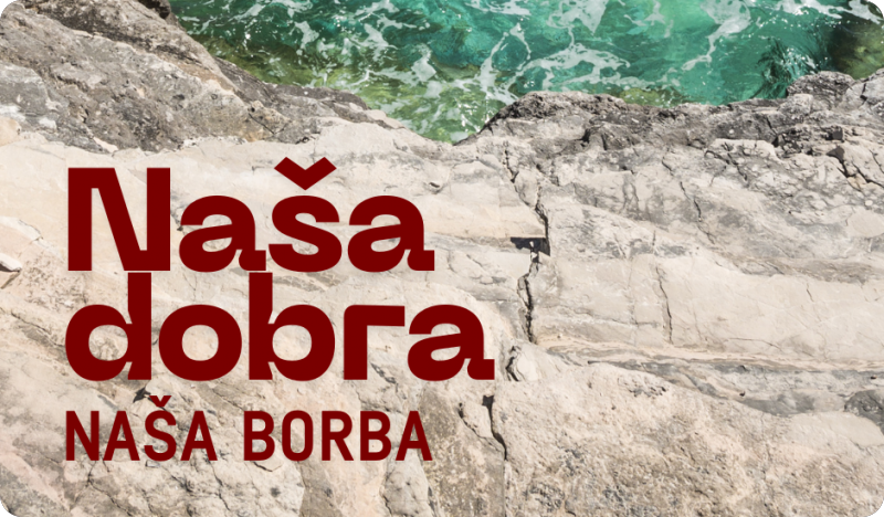 Aktivni građani kao pokretači promjena: Panel “Naša dobra - naša borba”-155801