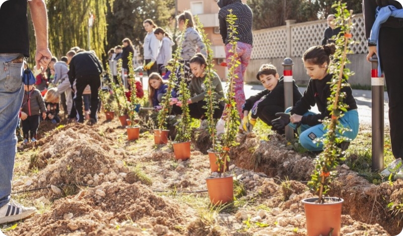 Općina Medulin na putu je prema zelenijoj budućnosti - mjere, sadnje i rješenja za očuvanje okoliša-152990