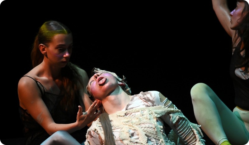 Biljke kao drag kraljice, Gledališče Koper i Kazalište Dr. INAT sljedeći tjedan u INK-u-158454