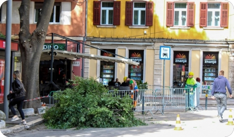 Počelo orezivanje ladonja na pulskim Giardinima-160581