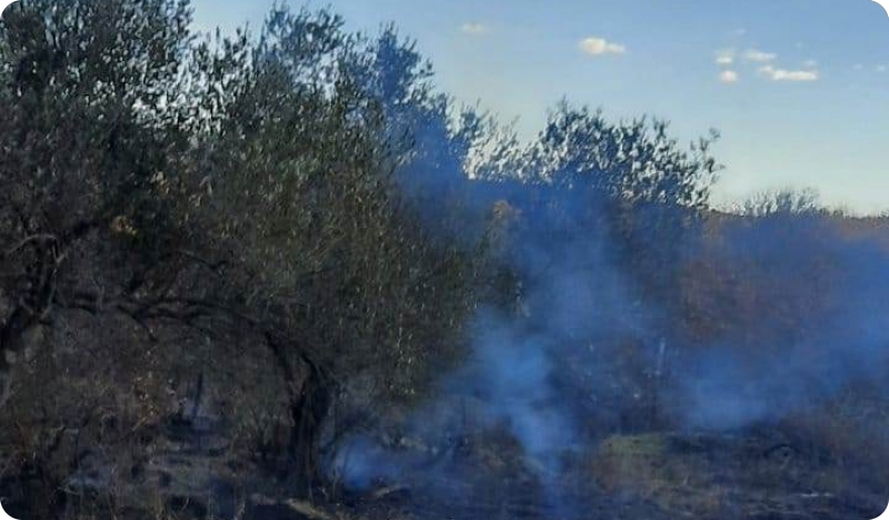 Požar trave i niskog raslinja u Umagu-124285