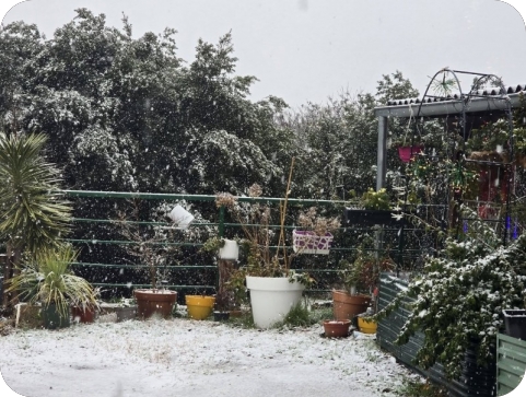 Otvorena vrata u hladnim danima, Prenoćište otvoreno 24/7-157673