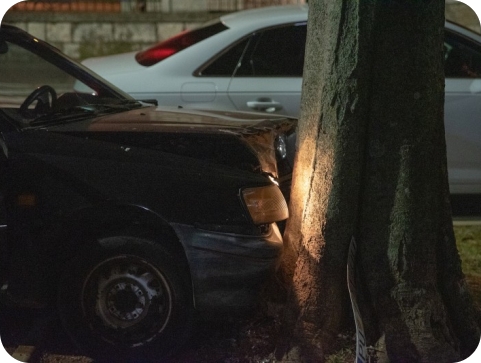 Ukrali auto pa na pulskoj Rivi s njim udarili u stablo, jednog uhvatili, dvojicu traže-124262