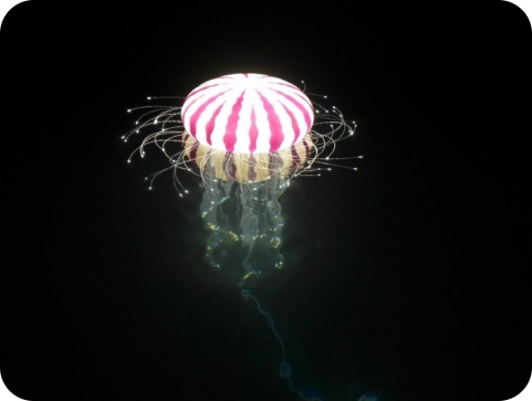 Robot meduze: Oponašaju plivanje i strukturu meduze kako bi se istražili koraljni grebeni-114040