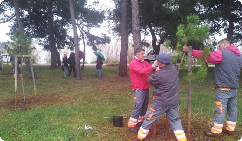 Vijećnici i građani Novigrada sadnjom stabala protiv uzurpacije zelenog priobalnog pojasa-56885