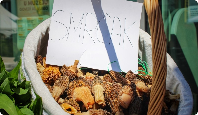 Jedni ga odmah prepoznaju, drugi pitaju ‘’što je to?’‘. Upoznajte smrčak-159995