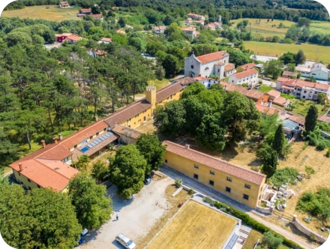Danas svi na Martinje u Sv. Martinu-132100
