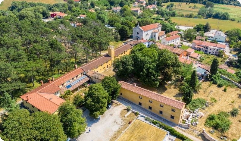 Danas svi na Martinje u Sv. Martinu-132100