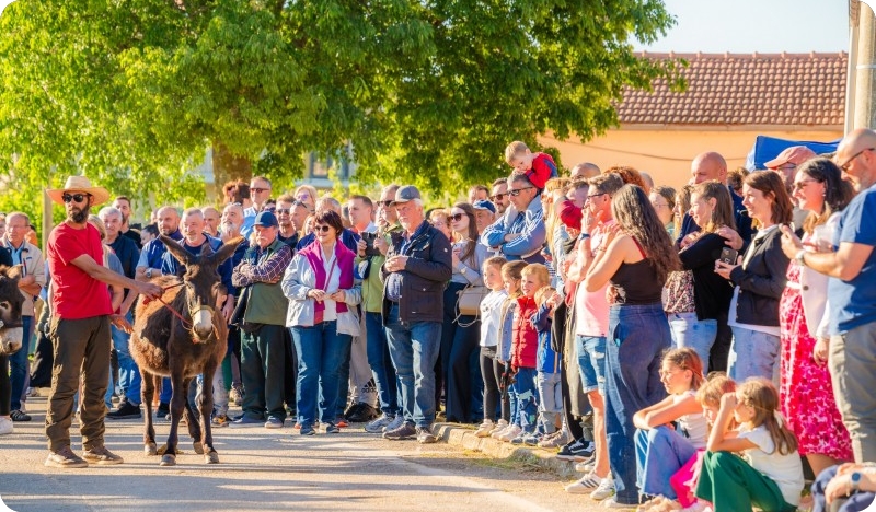 Tradicija, pjesma i 56. Trka na tovari u Orbanićima-160321