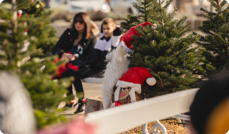 Doživite čaroliju prosinca u Medulinu-156926
