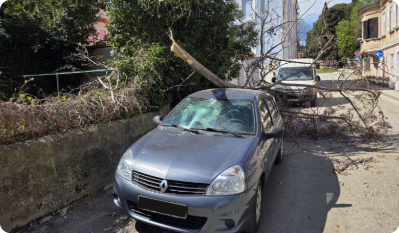 Jaka bura srušila stablo na Verudi, oštećen parkirani automobil-159543