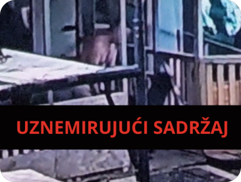 STRAVA U ROVINJU! Snimljen muškarac kako seksualno zlostavlja psa, policija podnijela kaznenu prijavu-163267