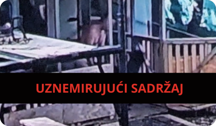 STRAVA U ROVINJU! Snimljen muškarac kako seksualno zlostavlja psa, policija podnijela kaznenu prijavu-163267