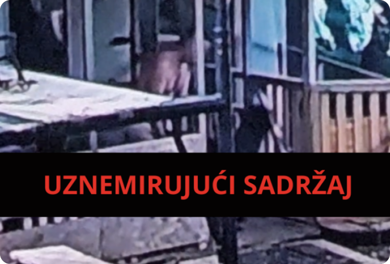 STRAVA U ROVINJU! Snimljen muškarac kako seksualno zlostavlja psa, policija podnijela kaznenu prijavu-163267