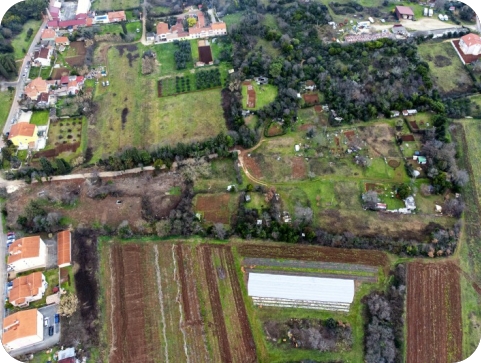 Grad Pula objavljuje 4. Javni poziv za urbane vrtove u Lošinjskoj i Gregovici-158864