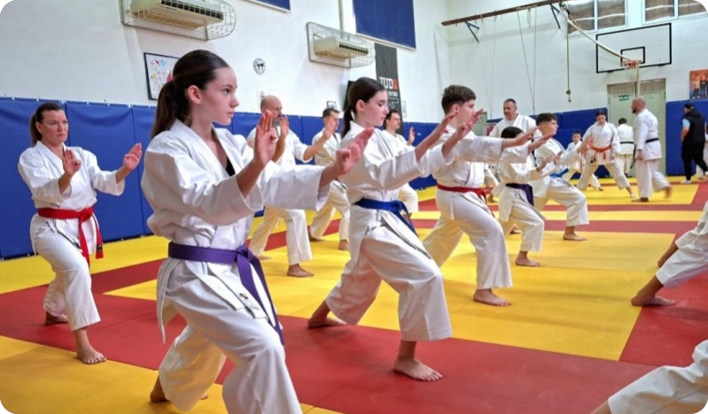 Više od 70 žena i članova klubova sudjelovalo na seminaru samoobrane u Poreču-158395