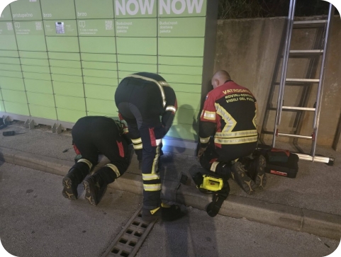 Višesatna akcija spašavanja mačića u Rovinju završila sretnim ishodom-162363