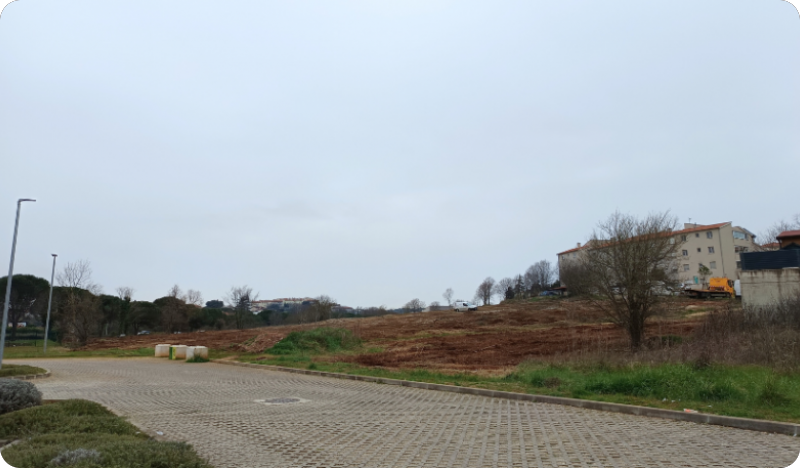 Što se gradi kod Decathlona i Harvey Normana? Grad Pula otkriva - urbani maslinici-158701